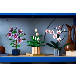 Klocki LEGO 11504 Skrzydłokwiat BOTANICALS